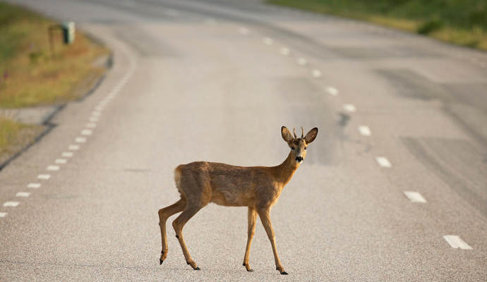 Symbolbild: Adobe Stock