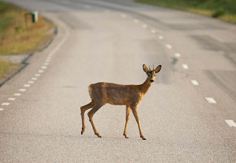 Symbolbild: Adobe Stock