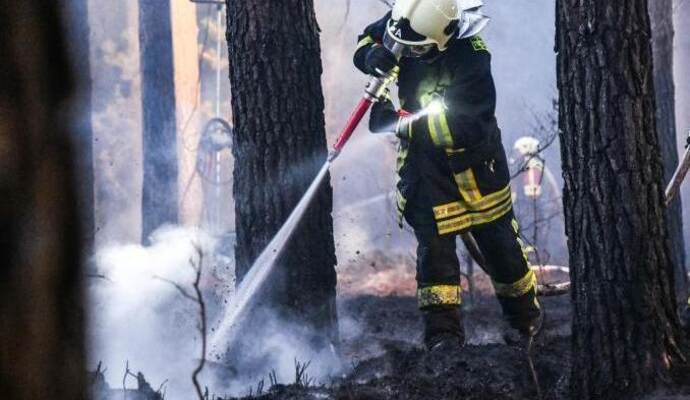 Feuerwehrleute löschen einen Waldbrand bei Oranienburg. In einem Waldstück im nördlichen Brandenburg war in der Nacht zu Feuerwehrleute löschen einen Waldbrand bei Oranienburg. In einem Waldstück im nördlichen Brandenburg war in der Nacht zu