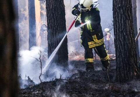 Feuerwehrleute löschen einen Waldbrand bei Oranienburg. In einem Waldstück im nördlichen Brandenburg war in der Nacht zu