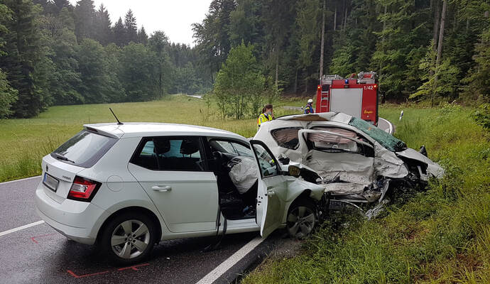 Für eine 45-jährige Autofahrerin kam bei diesem Unfall jede Hilfe zu spät. Für eine 45-jährige Autofahrerin kam bei diesem Unfall jede Hilfe zu spät.