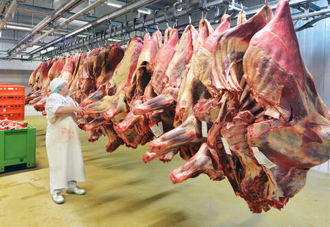 Die SPD-Kreistagsfraktion will nun den Enzkreis prüfen lassen, ob kleinere Betriebe wieder Chancen haben können.