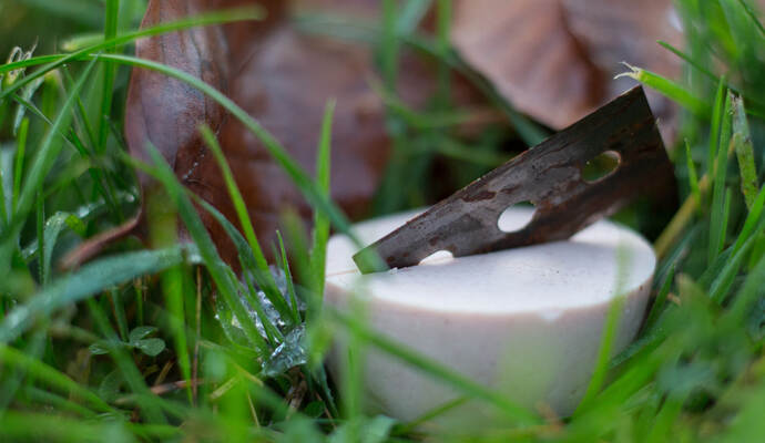 Rasierklingen, Teppichmesserklingen, Nadeln - Hundehasser verstecken immer wieder scharfe Gegenstände in Wurststücken und legen diese als Köder für Hunde aus. In Keltern wären am Donnerstag Glasscherben in der Wurst zur tödlichen Falle für einen Hund geworden. Symbolbild: dpa