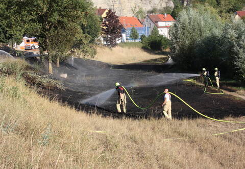 Glücklicherweise war die Feuerwehr rasch vor Ort.