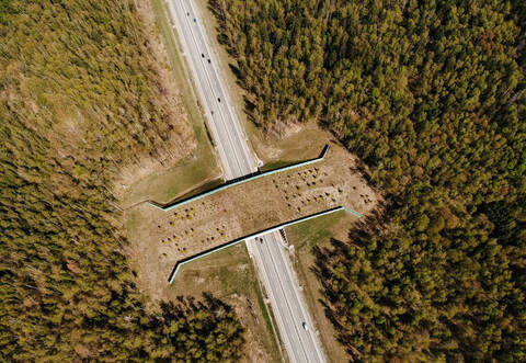 Kommt eine Autobahn-Brücke bei Mutschelbach - wie hier auf dem Symbolbild zu sehen?