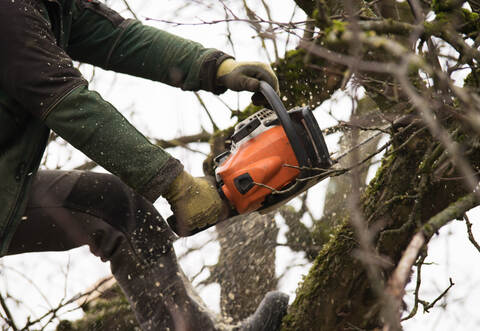 Wegen Baumfällarbeiten muss in Birkenfeld die Zeppelinstraße (K4571) vom Ortsende bis zur Kreuzung mit der B294 voll gesperrt werden.