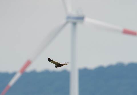 Die Kommunen hatten im September die Zurückstellung der Entscheidung beantragt und dies damit begründet, dass das Verfahren des 