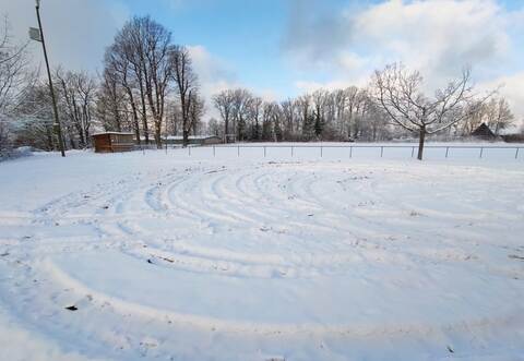 Deutlich zu erkennen: Auf der Rasenfläche vor dem Sportplatz Waldrennach haben Autonarren ihre Gefährte driften lassen.