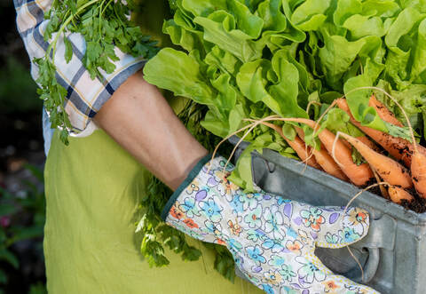 Die Bio-Musterregion Enzkreis will in diesem Jahr viel bewegen.