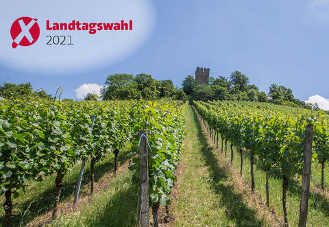 PZ-news präsentiert die Wahlergebnisse aus Sternenfels.