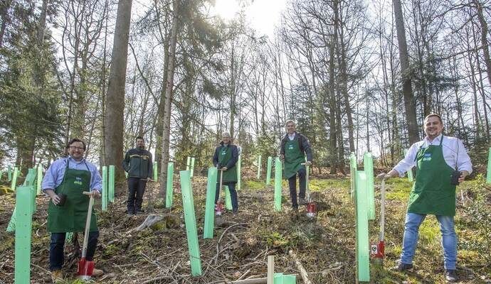 Greifen gemeinsam zum Spaten: Der Kreisverbands-Vorsitzende der Schutzgemeinschaft Deutscher Wald, Martin Steiner, Revierförster Fabian Kuhr, die beiden Forestadent-Geschäftsführer Stefan und Bernhard Förster sowie Engelsbrands Bürgermeister Thomas Keller (von links).