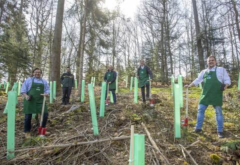 Greifen gemeinsam zum Spaten: Der Kreisverbands-Vorsitzende der Schutzgemeinschaft Deutscher Wald, Martin Steiner, Revierförster Fabian Kuhr, die beiden Forestadent-Geschäftsführer Stefan und Bernhard Förster sowie Engelsbrands Bürgermeister Thomas Keller (von links).