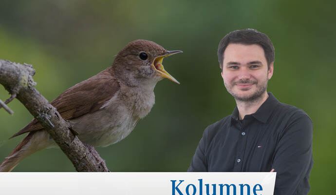 Ein Vogel sorgt derzeit im Garten von PZ-Kollege Maximilian Lutz für Unterhaltung.
