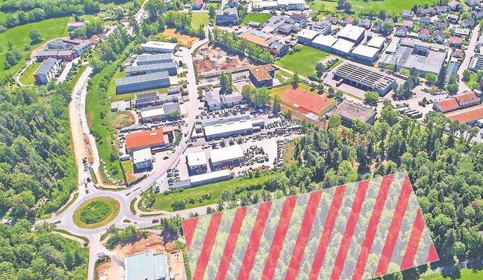 Ein letzter Blick auf das Waldstück Bannholz: Ab Mittwoch laufen die Sägen und roden die Fläche für den Bau von Rossmann und Edeka. Dafür wird die Straße zum Kreisel für eine Woche voll gesperrt. Der Verkehr läuft über den Gewerbepark.