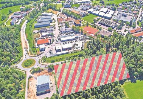 Ein letzter Blick auf das Waldstück Bannholz: Ab Mittwoch laufen die Sägen und roden die Fläche für den Bau von Rossmann und Edeka. Dafür wird die Straße zum Kreisel für eine Woche voll gesperrt. Der Verkehr läuft über den Gewerbepark.