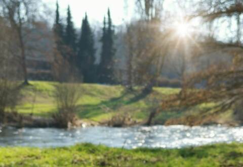 Schneeglöckchen hat Carmen Gräßle im Enzauenpark fotografiert.