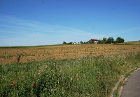 Platz für neuen Wohnraum: Ein Neubaugebiet soll neben der Kanalstraße in Nußbaum entstehen, wo jetzt noch grüne Wiese ist. Foto: Roller