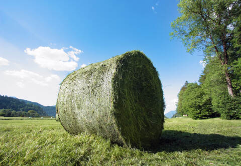 Die Unbekannten rollten den Heuballen quer über eine Straße.