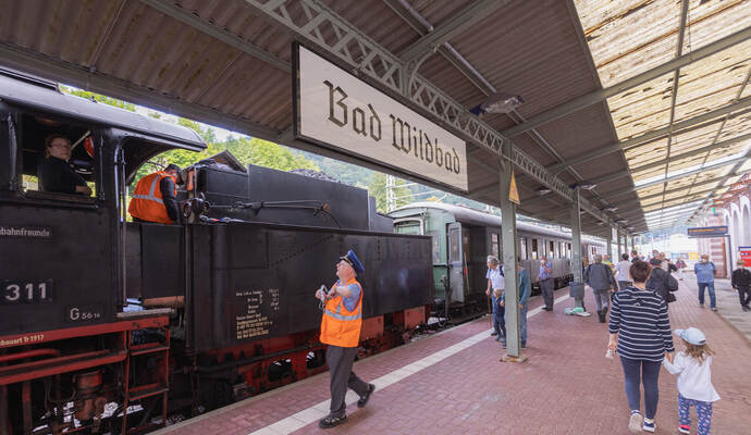 Historische Dampfzüge
