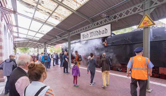 Historische Dampfzüge