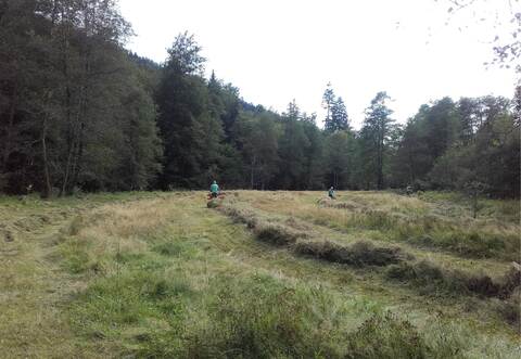 Aktive Mitglieder der Schutzgemeinschaft Eyachtal bei der Streifenmahd. Unterstützung gab's von der Stadt Neuenbürg mit Mähgeräten.