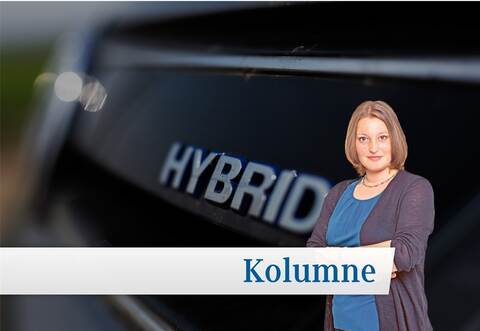 „Der Fuhrpark ist einer der großen Treiber in der CO2-Bilanz des Landratsamts“, weiß PZ-Redakteurin Lisa Belle. Und dazu gehört eben auch der Dienstwagen von Rosenau – immerhin ein Hybrid-Fahrzeug.
