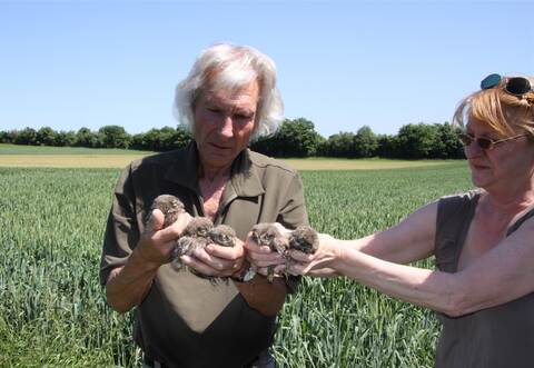 Das Ehepaar Döppenschmitt nach dem Beringen von fünf Steinkauz-Küken.