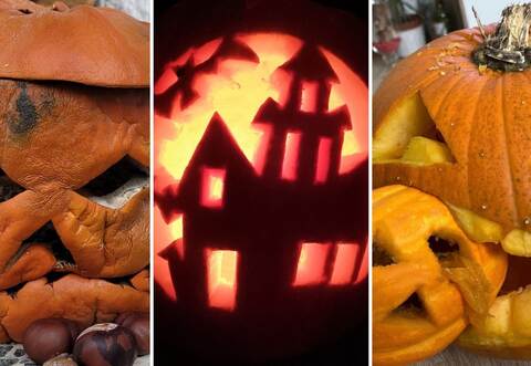 Die Kürbis-Bilder der Gewinner bieten einen fürchterlichen Anblick.