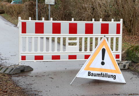 Ab 1. Februar beginnen die Rodungsarbeiten bei der L 554 für einen neuen Fahrradweg in Knittlingen.