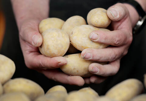 Kartoffelpreise steigen