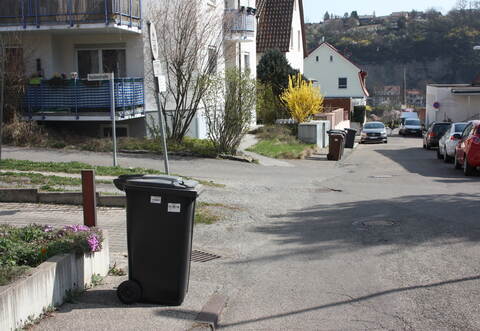Rund zwei Wochen haben die Mülltonnen in der Dürrmenzer Moltkestraße draußen gestanden. Laut PreZero seien die Abfallsammelfahrzeuge zum Leerungstermin aber aufgrund von zugeparkten Straßenbereichen nicht durchgekommen.