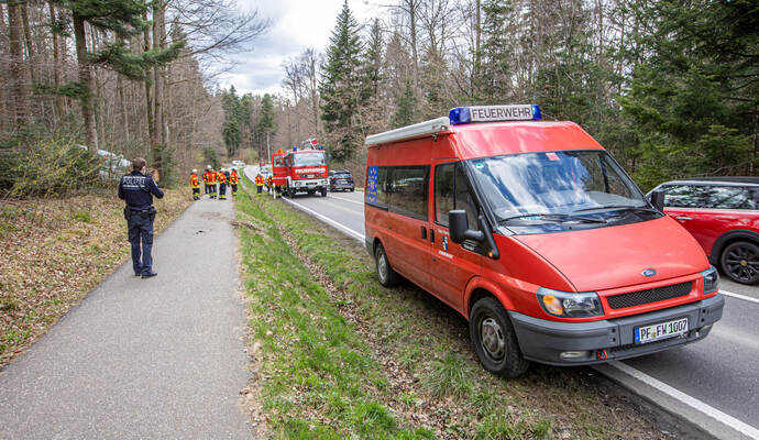 VU L565 Neuenbürg Schwann