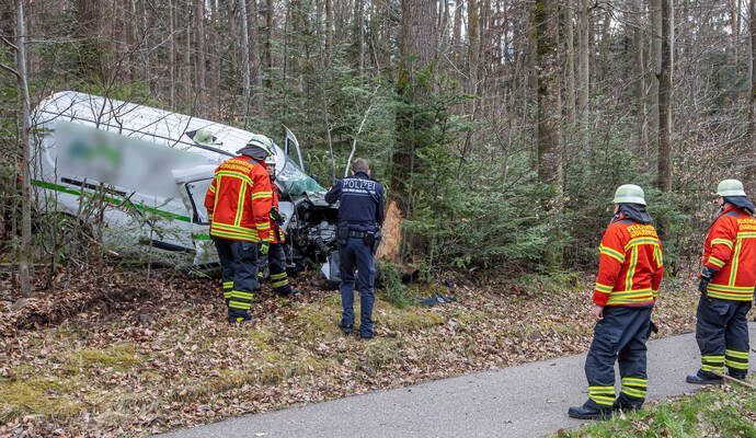 VU L565 Neuenbürg Schwann