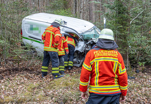 VU L565 Neuenbürg Schwann
