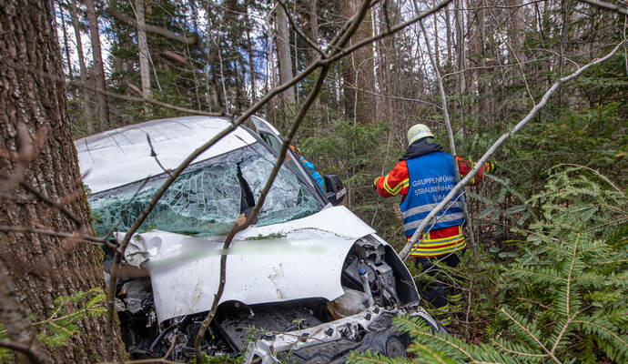 VU L565 Neuenbürg Schwann