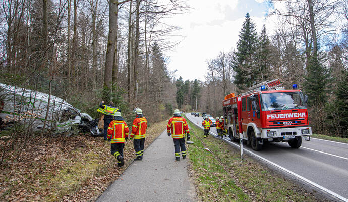 VU L565 Neuenbürg Schwann