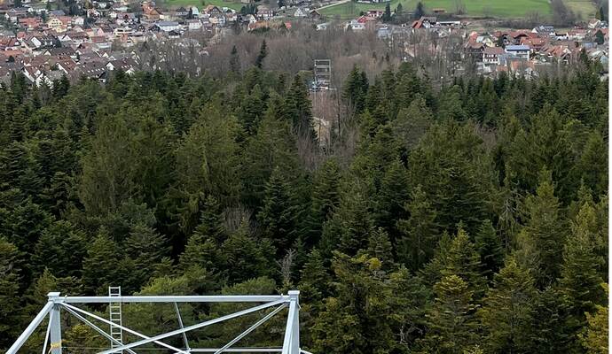 Vom Aussichtsturm „Himmelsglück“ soll es mit dem Flying Fox künftig schnur- gerade auf den Zielturm beim Kurpark zu. Vom Aussichtsturm „Himmelsglück“ soll es mit dem Flying Fox künftig schnur- gerade auf den Zielturm beim Kurpark zu.