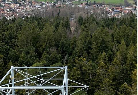 Vom Aussichtsturm „Himmelsglück“ soll es mit dem Flying Fox künftig schnur- gerade auf den Zielturm beim Kurpark zu.