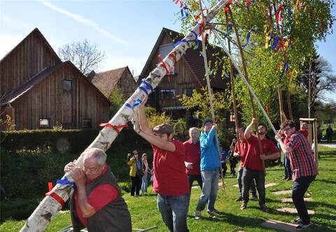 Wie hier im Jahr 2017 wollen die Mitglieder des Männergesangvereins Freundschaft Lienzingen am Samstag wieder einen Birken-Maibaum stellen.