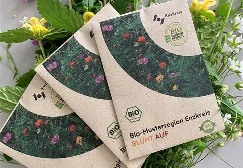 Nützliche Päckchen: Die Samen aus der Enzkreis-Blühmischung können noch bis Ende Mai in der Region ausgesät werden.