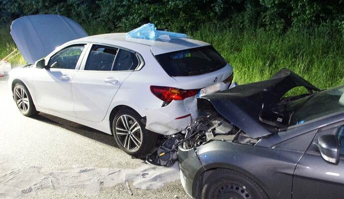 Die vier Fahrzeuginsassen erlitten allesamt Verletzungen.