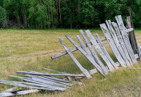 old wooden rickety fence. Abandoned field with an old wooden fence. Old broken wooden fence. Summer sunny day with blue sky and 