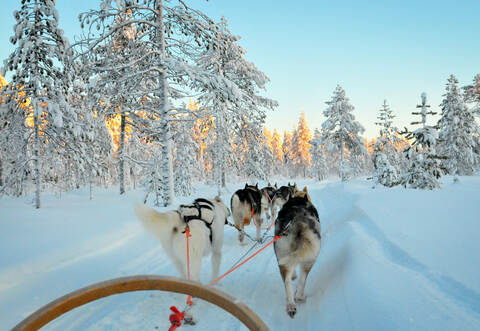 Das geplante Schlittenhunderennen in Dobel war wegen des Vorfalls abgesagt worden.