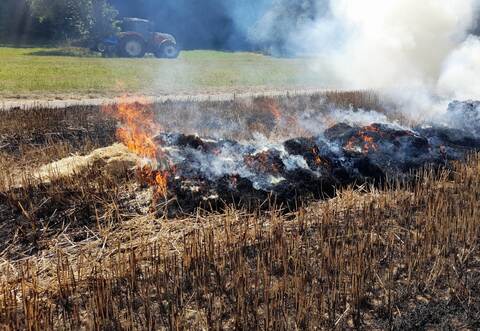 Zwischen 120 und 170 Quadratmetern fielen den Flammen zum Opfer.