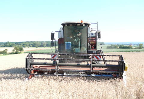 Relativ früh hat bei Familie Fuchs vom Aussiedlerhof in Bauschlott die Dinkelernte begonnen.