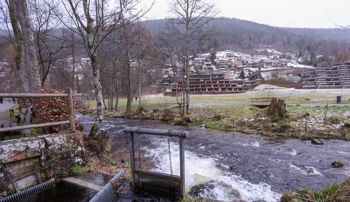 Auch in diese Schleuse im Bad Wildbader Kurpark warf der Hundehalter sein Tier und filmte dessen Überlebenskampf. Auch in diese Schleuse im Bad Wildbader Kurpark warf der Hundehalter sein Tier und filmte dessen Überlebenskampf.