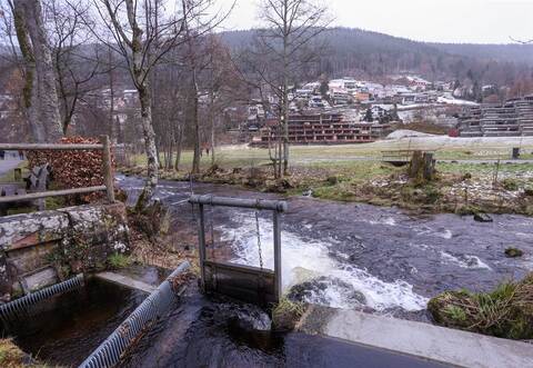 Auch in diese Schleuse im Bad Wildbader Kurpark warf der Hundehalter sein Tier und filmte dessen Überlebenskampf.