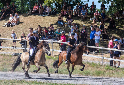 Knapp 100 Teilnehmer aus dem gesamten süddeutschen Raum waren am Wochenende beim Reitturnier in Waldrennach.