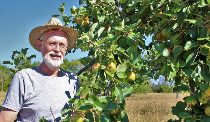 Anstatt viel Streuobst ungenutzt zu lassen, hat Edgar Kunzmann die Idee einer Börse, auf der Remchinger Wiesenbesitzer nicht benötigtes Obst zur Ernte freigeben können. Foto: Zachmann