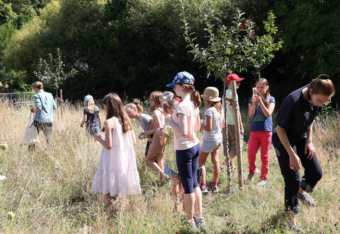 Hochkonzentriert entdecken die kleinen Forscher die Natur. Foto: Schultner